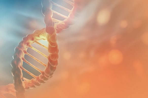 Illustration einer rosafarbenen DNA-Helix vor verschwommenem blau-orangenem Hintergrund.