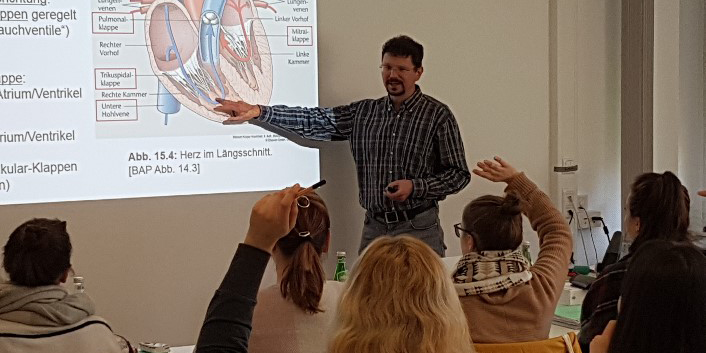 Ein Dozent erklärt ein Diagramm des Herzens in einem Klassenzimmer; mehrere Schüler heben ihre Hände zur Beteiligung.