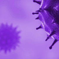 Violette, abstrakte Darstellung von Viren mit stacheligen Oberflächen auf unscharfem Hintergrund.