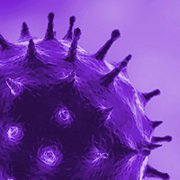 Nahaufnahme eines lila Viruspartikels mit stachelähnlichen Strukturen vor einem violetten Hintergrund.