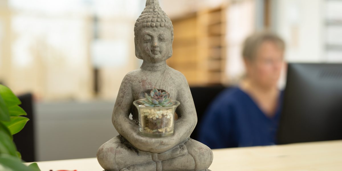 Buddha-Statue mit Sukkulente auf einem Tisch, unscharfe Person am Computer im Hintergrund.