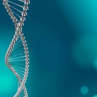 Silberne DNA-Doppelhelix vor einem unscharfen, blau-grünen Hintergrund.