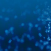 Transparente Lungen vor blauem Hintergrund mit Netzstruktur, die Neuronenverbindungen darstellt.