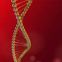 Goldene DNA-Helix vor rotem Hintergrund, symbolisiert Genforschung und Biotechnologie.