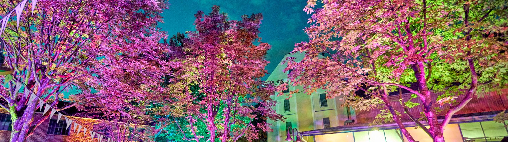 Menschen auf einem bunt beleuchteten Fest im Freien, umgeben von Bäumen mit bunten Lichtern und Wimpelketten.